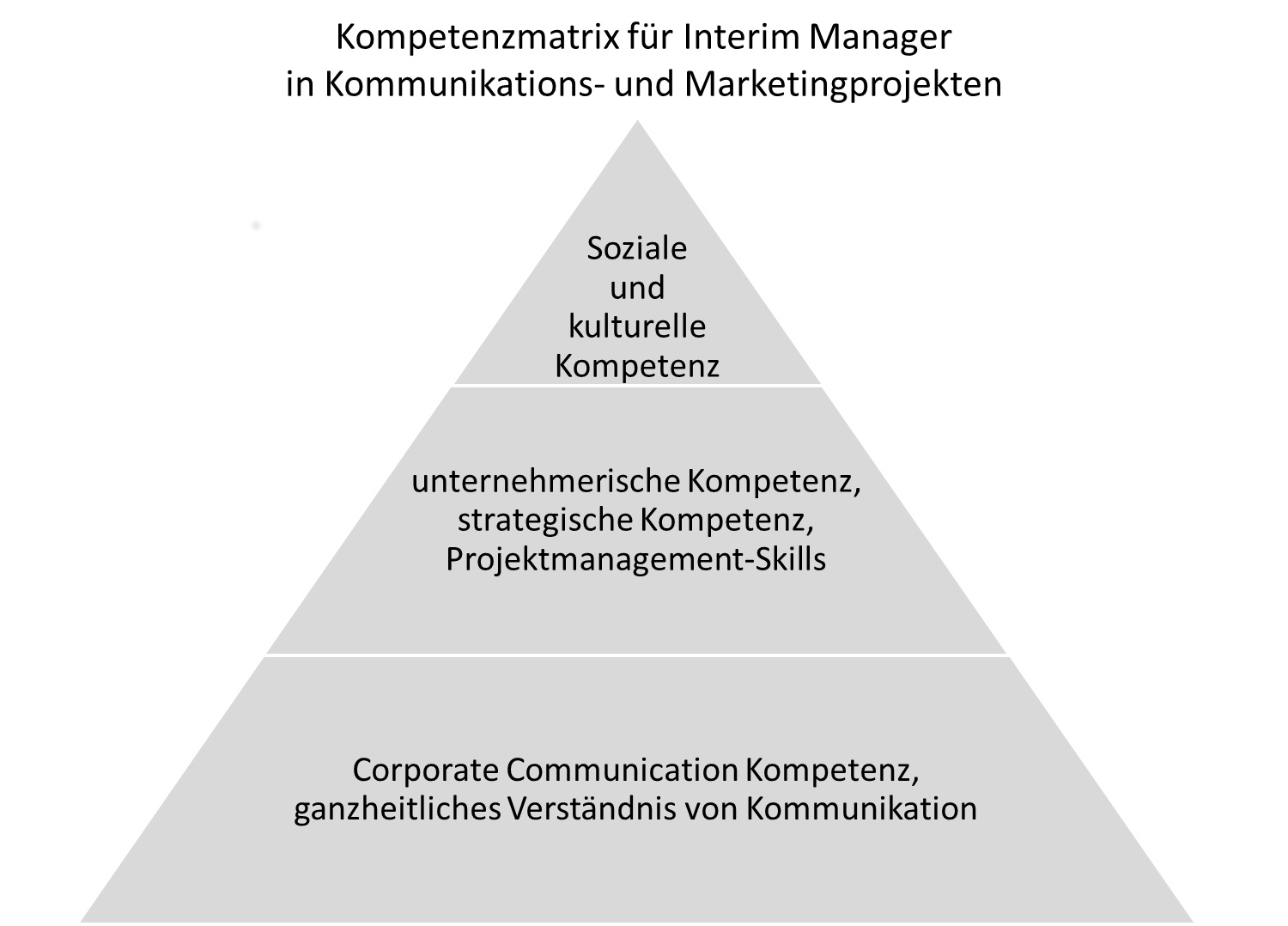 Schaubild Kompetenzmatrix von Interim Managern